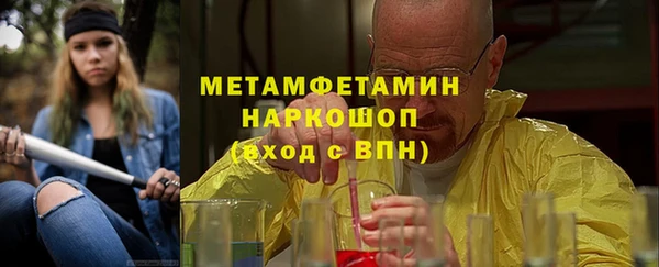 индика Вяземский