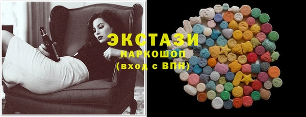 индика Вяземский