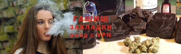 индика Вяземский