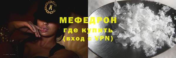 индика Вяземский