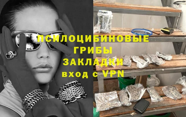 индика Вяземский