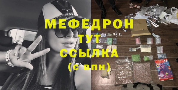 индика Вяземский