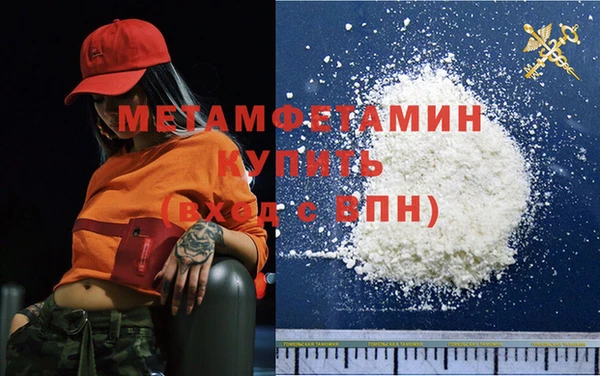 индика Вяземский