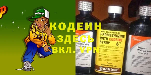 индика Вяземский