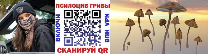Галлюциногенные грибы прущие грибы hydra онион Липки